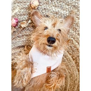 Handmade dog bandana "Lovely in Pink" Valentines day edition